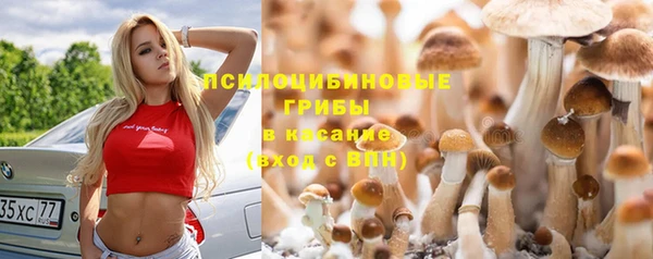 спайс Покровск