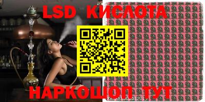 СК Конаково